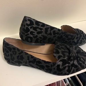 Torrid Loafers